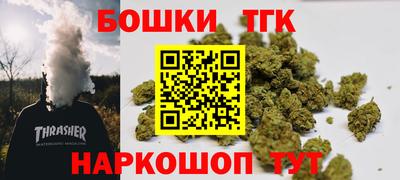 тгк Канаш